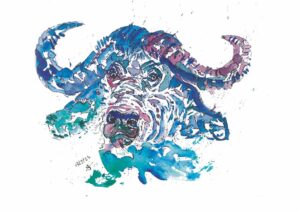 Blue Buffalo A4 Watercolour Print