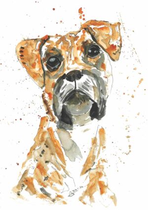 Boxer A3 Watercolour Print