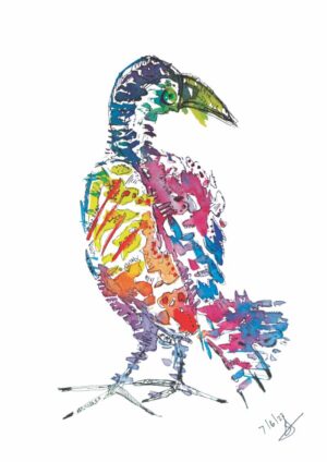 Original Rainbow Hornbill A4 Watercolour