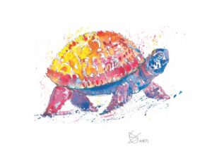 Rainbow Tortoise A4 Watercolour Print