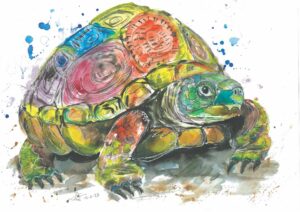 Tortoise A3 Watercolour Print