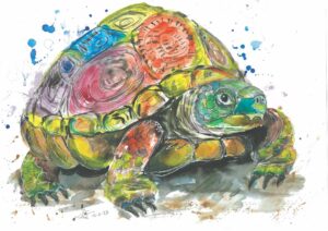Original Tortoise A3