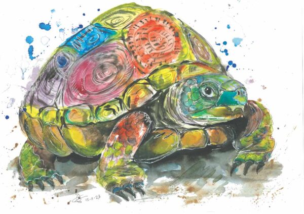 Original Tortoise A3