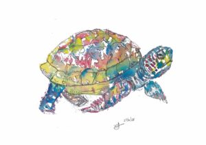 Original Turtle Tortoise A4 Watercolour