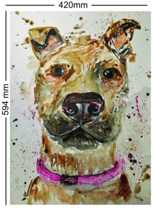 A2 Pet Portrait
