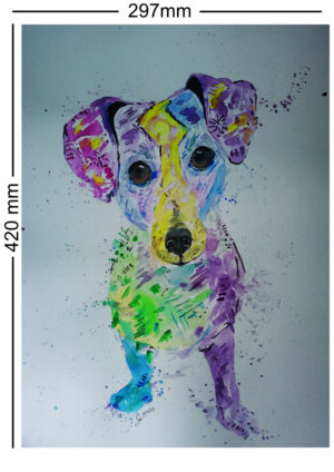 A3 Pet Portrait