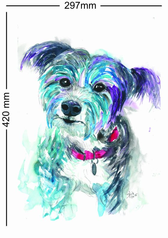 A3 Pet Portrait