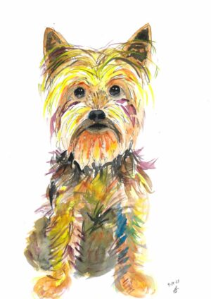 Yorkie A3 Watercolour Print