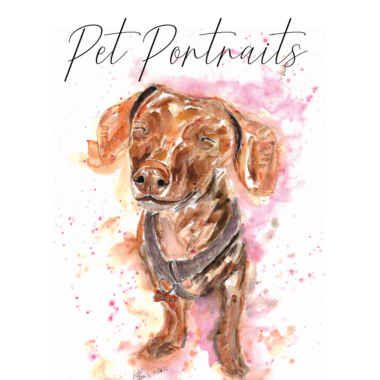 steph pais south african watercolour artist