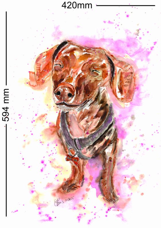 painting of a pet portrait
