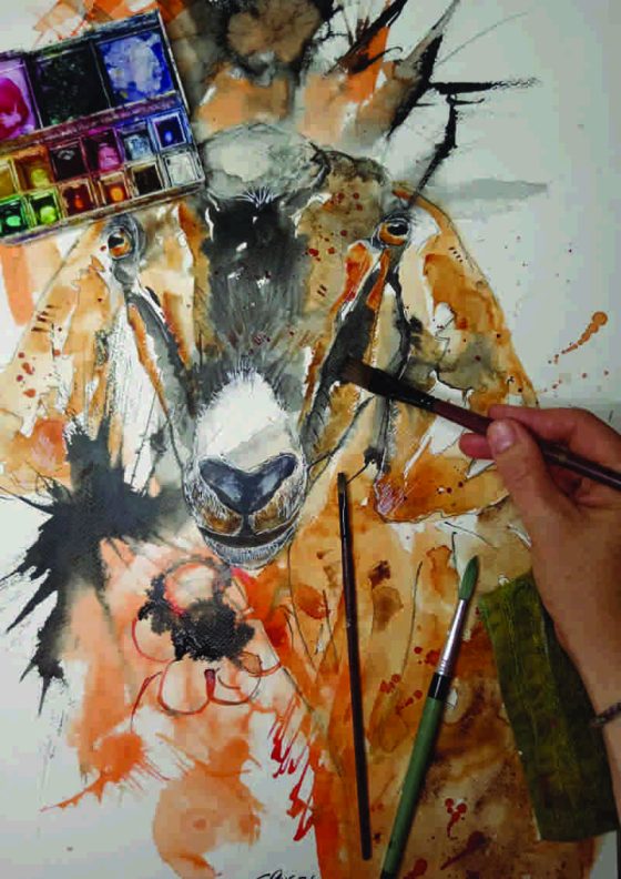 steph pais south african watercolour artist