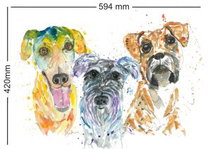watercolour-pet-portraits-painted-by-south-african-artist-steph-pais-
